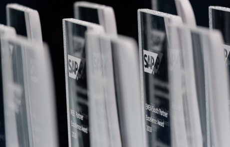 SAP Partner Excellence Award